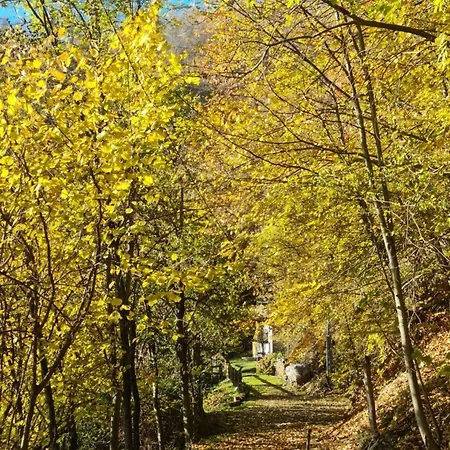Il Meriggio - & Breakfast בית הארחה