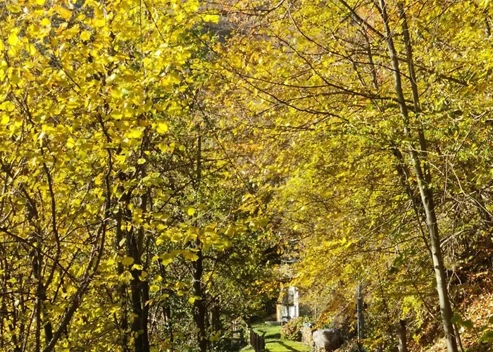 Il Meriggio - & Breakfast ゲストハウス